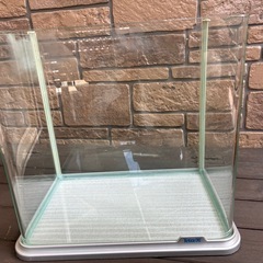 決まりました！！水槽の画像