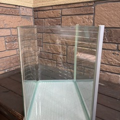 決まりました！！水槽の画像