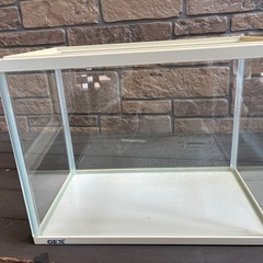 決まりました！！水槽の画像