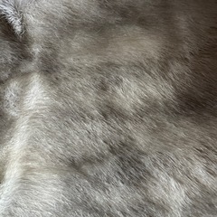 ミンクのショールの画像