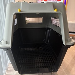 大型犬用クレートの画像