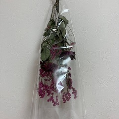 ドライフラワーの画像