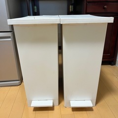 【KEYUCA】両開きゴミ箱30L 2個セットの画像