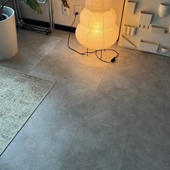 akari リプロダクトの画像