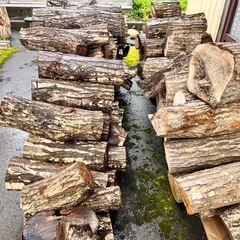 【引取価格】薪広葉樹MIXの画像