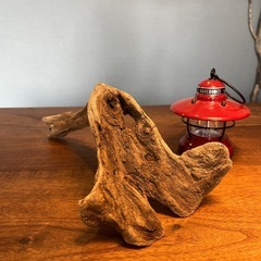 20、渋い〜〜穴付き流木…天然物、インテリア、オブジェの画像
