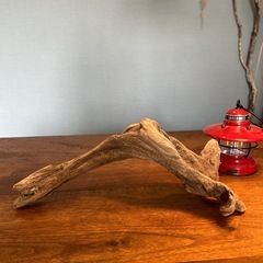 20、渋い〜〜穴付き流木…天然物、インテリア、オブジェの画像