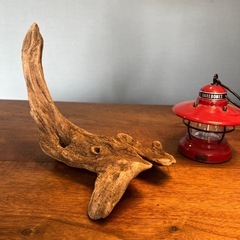 20、渋い〜〜穴付き流木…天然物、インテリア、オブジェの画像