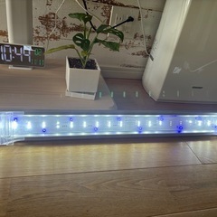 GEX 90センチ水槽セットの画像