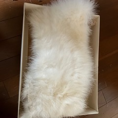 成人式　羽毛ショールの画像