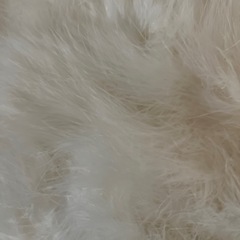 成人式　羽毛ショールの画像