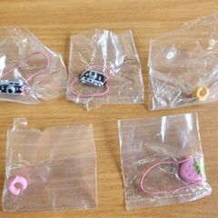 開封・保管品 非売品 シルバニアファミリー 探検隊5人セット ウサギ/リス/クマ/トイプードル/メイプルネコ 限定品 レア 札幌 北20条店の画像