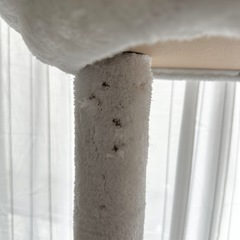 キャットタワーの画像