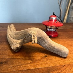 20、あざらし風？流木…天然物、インテリア、オブジェの画像