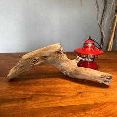 20、あざらし風？流木…天然物、インテリア、オブジェの画像