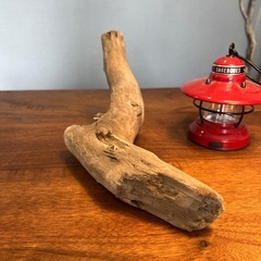 20、あざらし風？流木…天然物、インテリア、オブジェの画像