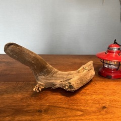 20、あざらし風？流木…天然物、インテリア、オブジェの画像
