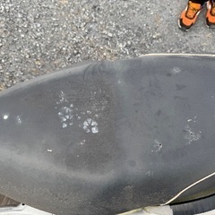 ベクスター125の画像