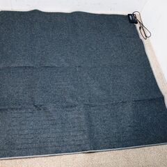 ニトリ NITORI ホットカーペット NT2J 2畳用 電気カーペット あったか 暖かいの画像