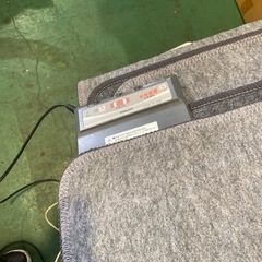 電気カーペットの画像