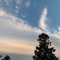 心とおしゃべり【モニター募集】