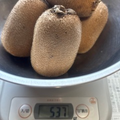無農薬　キウイ　5個の画像