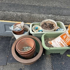 植木鉢の画像