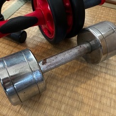 5kgダンベル 腹筋ローラー 腕立て伏せのやつ 
の画像