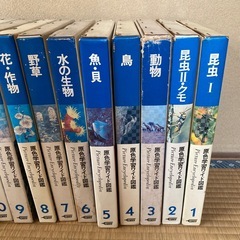 百貨じ辞典の画像