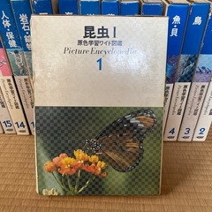 百貨じ辞典の画像