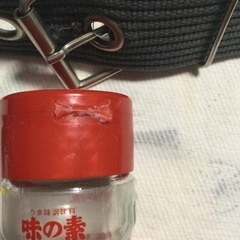 ◆無料◆から瓶、女性用ベルトの画像