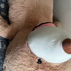 ぬいぐるみ（くま）の画像