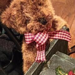 急ぎで引き取り希望。②　クリスマス コストコ KIRKLAND サンタ.イン.カーの画像