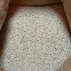 令和7年度産  もち米  ヒヨクモチ  2kg 3kg 5kgの画像