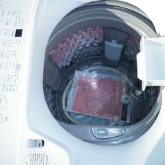 TWINBIRD｜ツインバード2024年　7K洗濯機 WM-ED70W [洗濯7.0kg /簡易乾燥(送風機能) /上開き]の画像