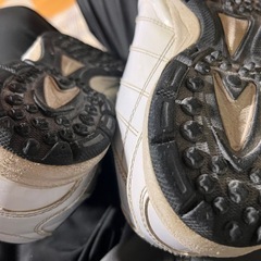 トレシュー
の画像