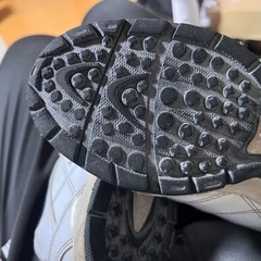 トレシュー
の画像