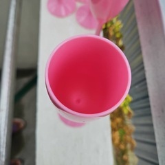 海外取り寄せ ピンクシャンパングラスの画像