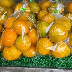 みかん100円の画像