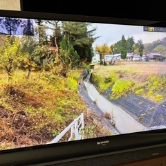 液晶テレビ 32型 SHARP 2014年製中古 美品の画像