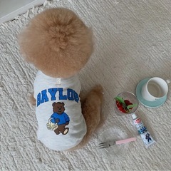 BAYLOR 犬服 L ペアルックの画像