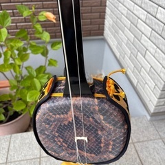 三線 本体 黒 木製 オレンジ装飾の画像