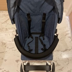 ミッキーバギーの画像