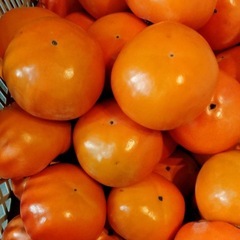 無農薬　柿　25個　①③の画像