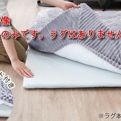 G4※取引中/売約済***********　未使用/新品　未開封　ラグ専用カバー  190×190の画像