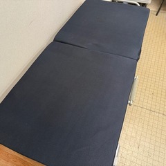 ニトリ　折りたたみシングルベッドの画像