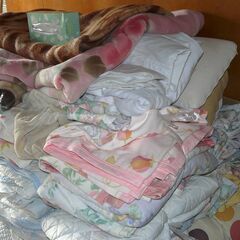 配達先決定🚚　無料配達します🚚商品養生・保護猫活動されてる方に！💖毛布大量💖まとめて無料で💖の画像