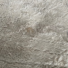 カーペットの画像