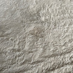 カーペットの画像