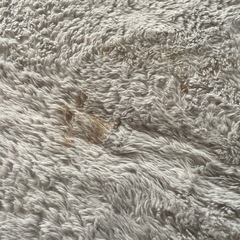 カーペットの画像